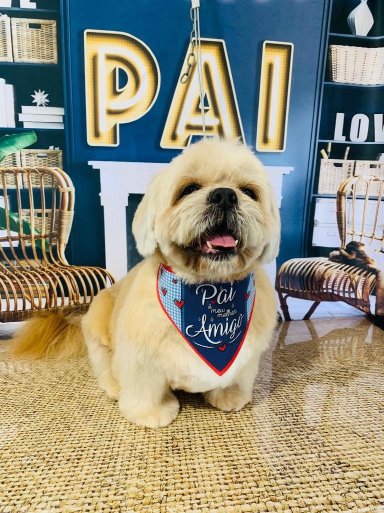 Ju Pet Estética Canina