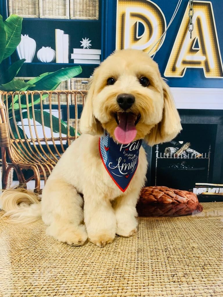Ju Pet Estética Canina