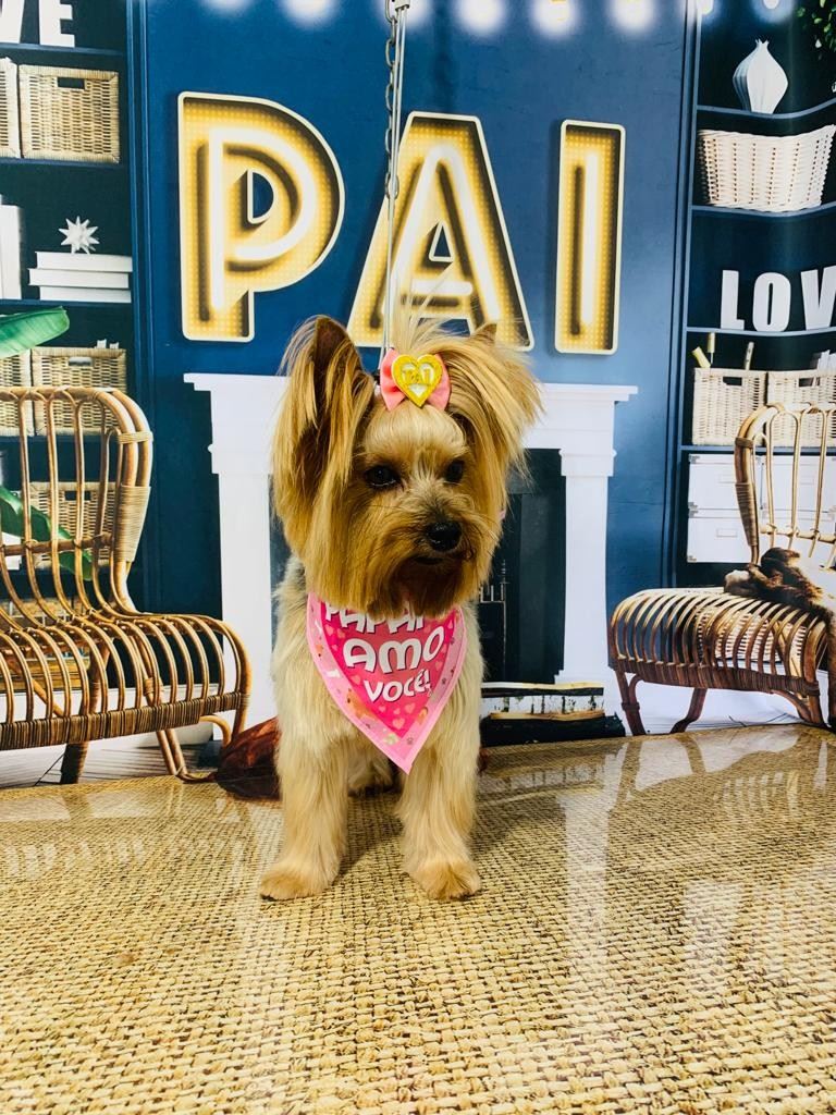 Ju Pet Estética Canina