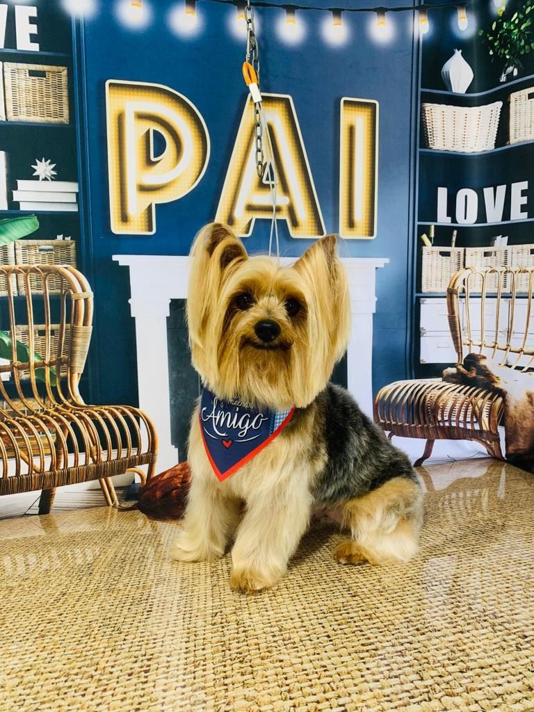 Ju Pet Estética Canina