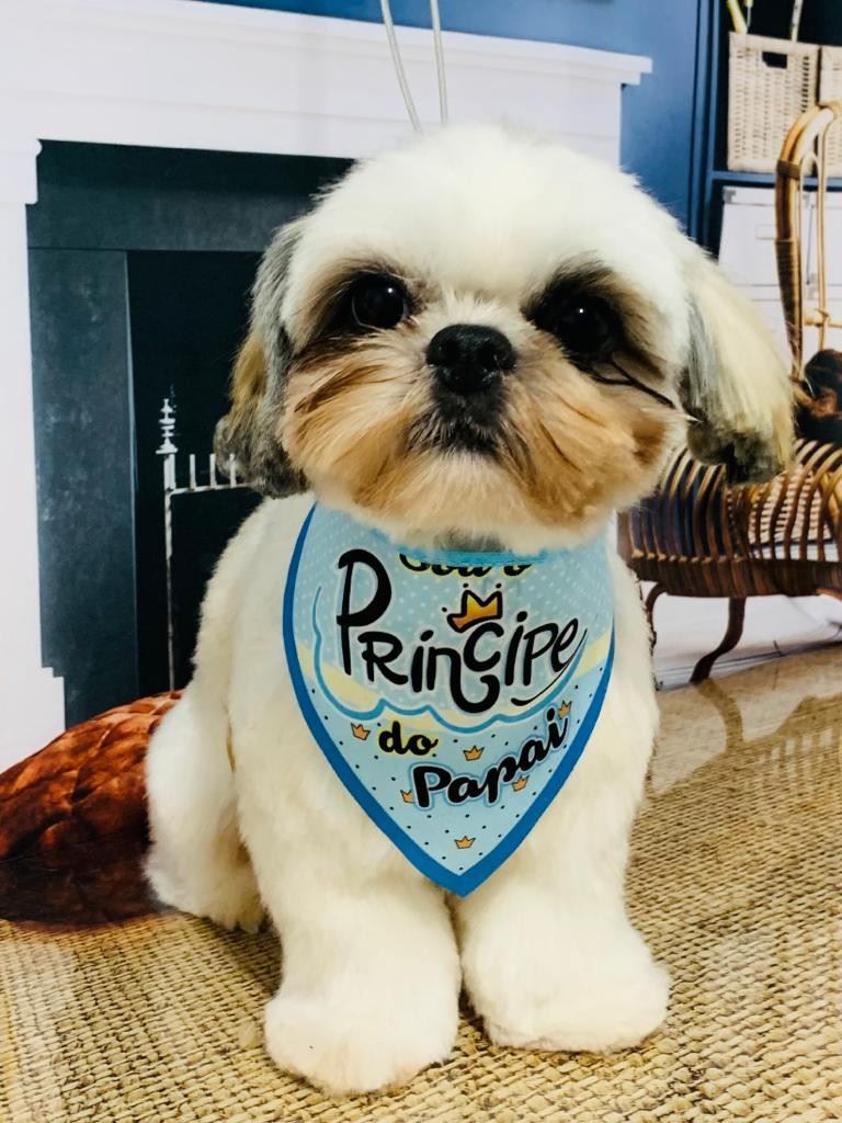 Ju Pet Estética Canina