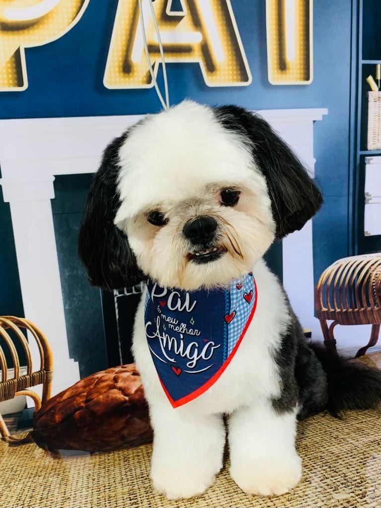 Ju Pet Estética Canina