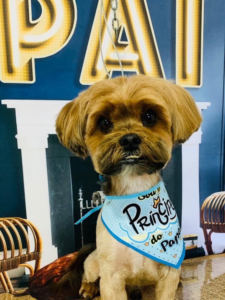 Ju Pet Estética Canina