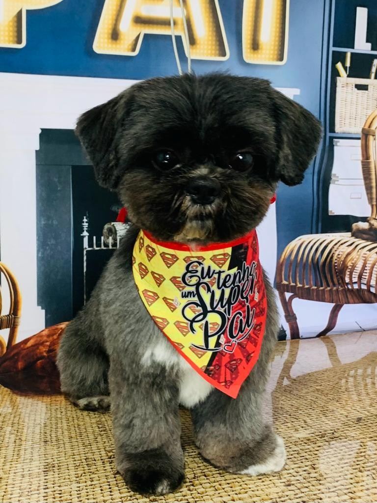 Ju Pet Estética Canina