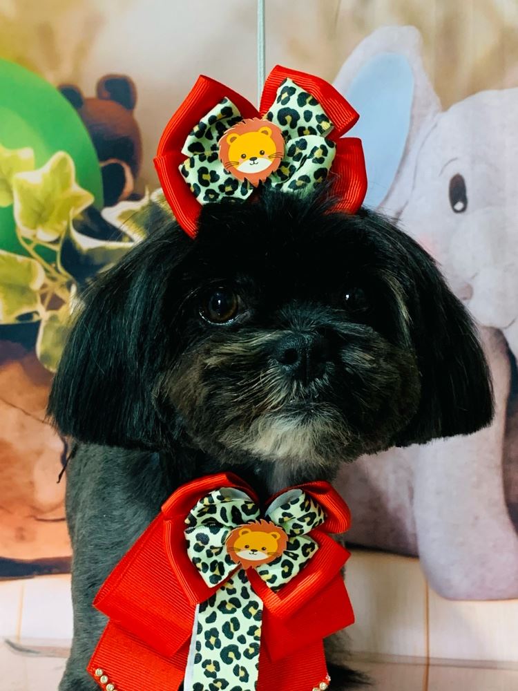 Ju Pet Estética Canina