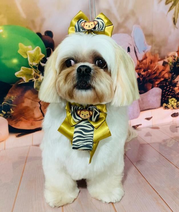 Ju Pet Estética Canina