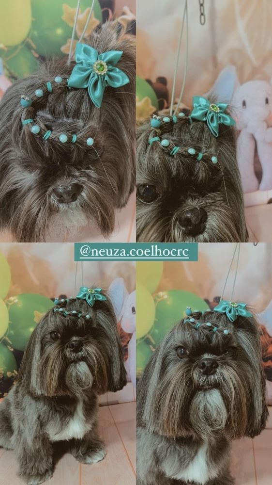 Ju Pet Estética Canina