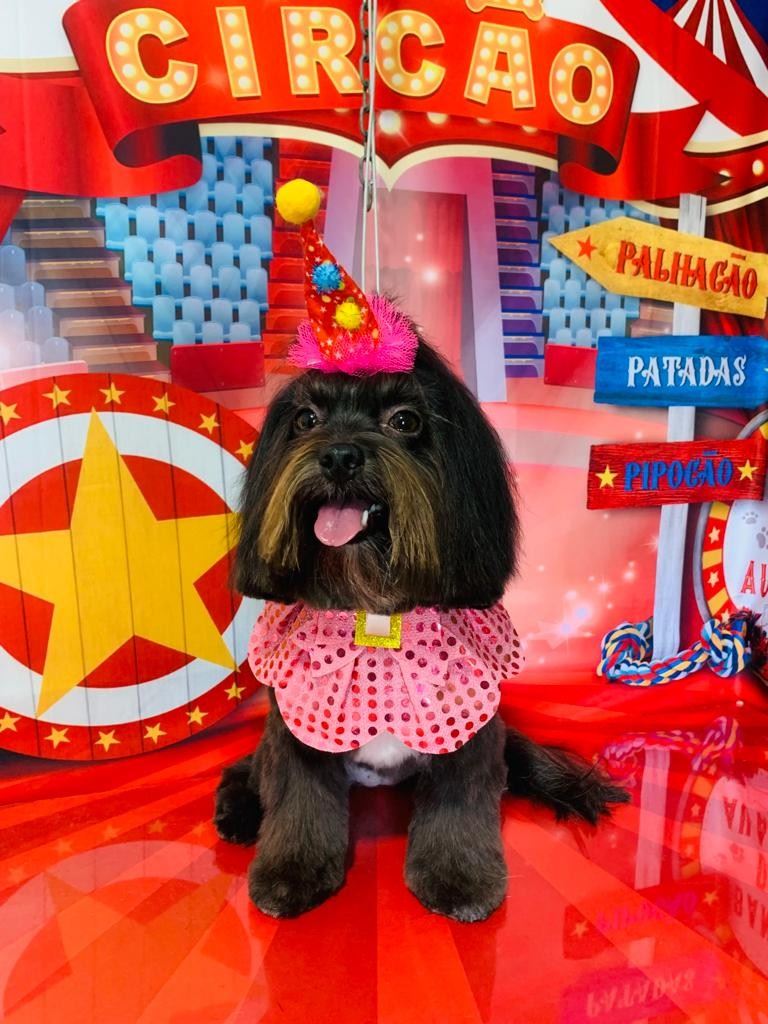 Ju Pet Estética Canina