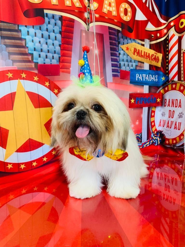 Ju Pet Estética Canina