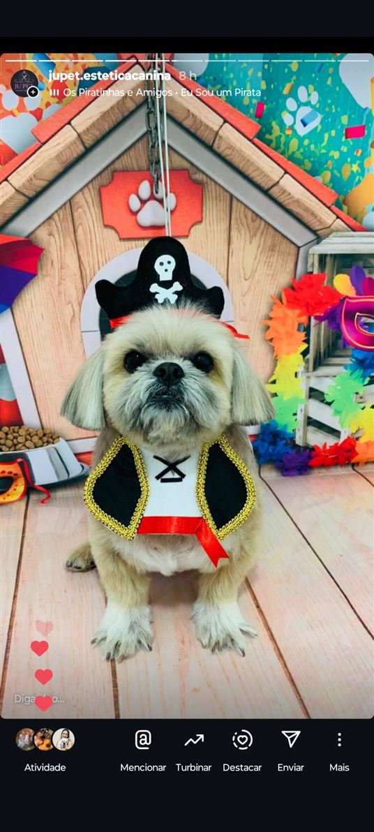Ju Pet Estética Canina