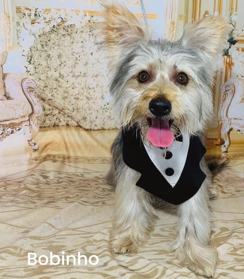 Venha nos conhecer e deixe seu peludinho em boas mãos!