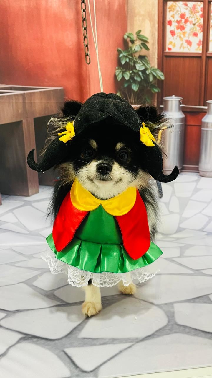 Ju Pet Estética Canina