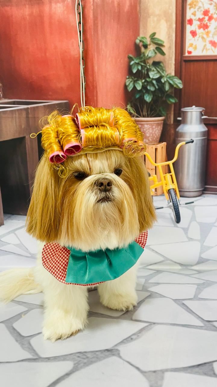 Ju Pet Estética Canina