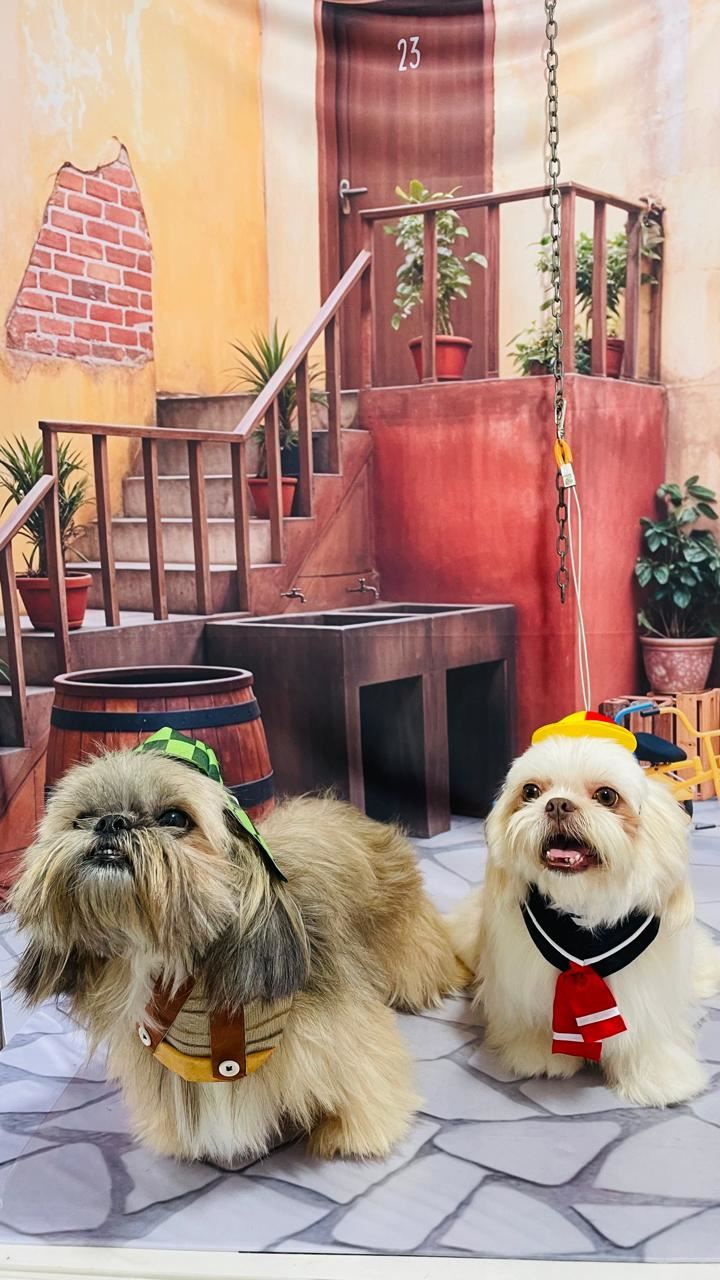 Ju Pet Estética Canina