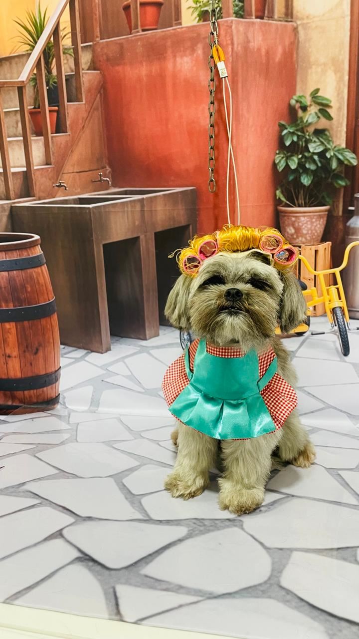 Ju Pet Estética Canina