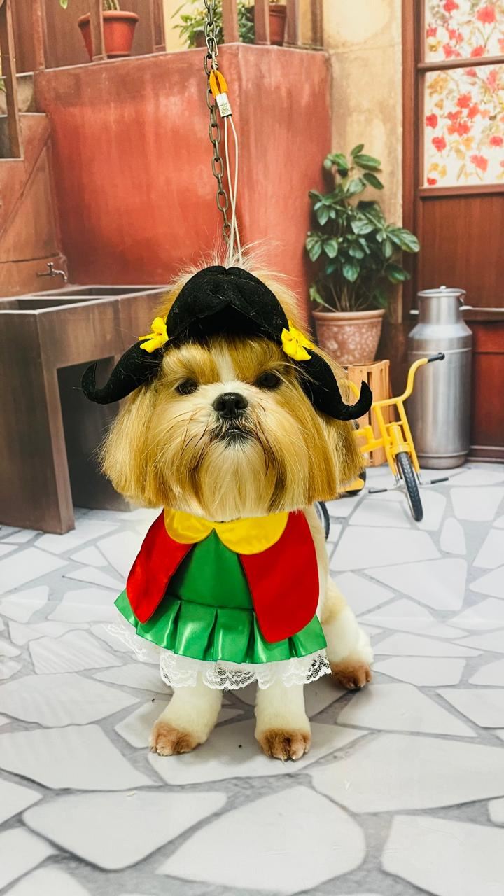 Ju Pet Estética Canina
