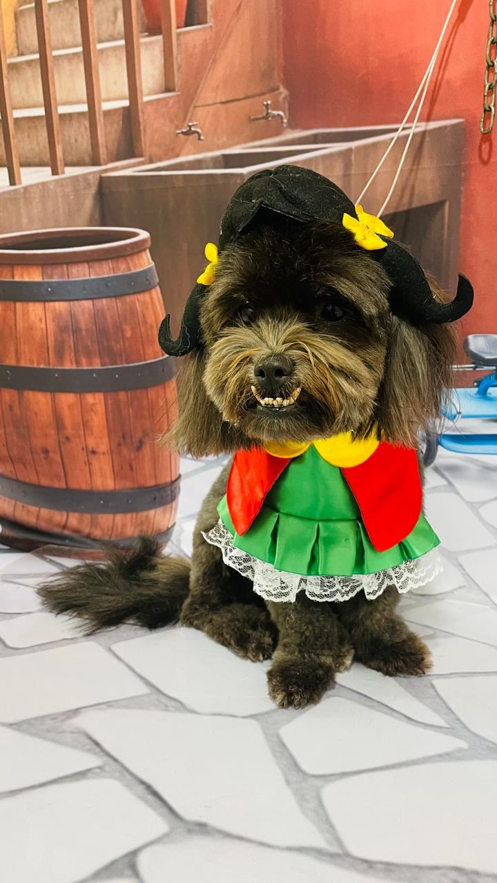 Ju Pet Estética Canina