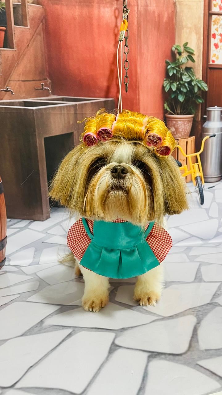 Foto 5 de Ju Pet Estética Canina - Banho, Tosa e Fotos Caninas Temáticas