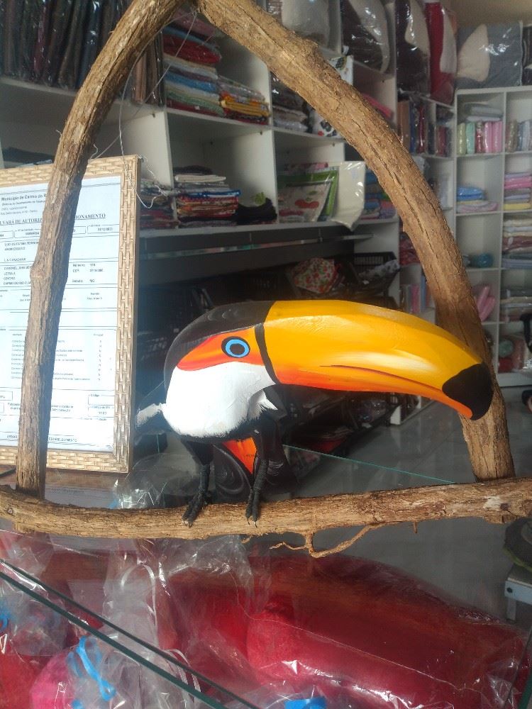 Pássaros. 
