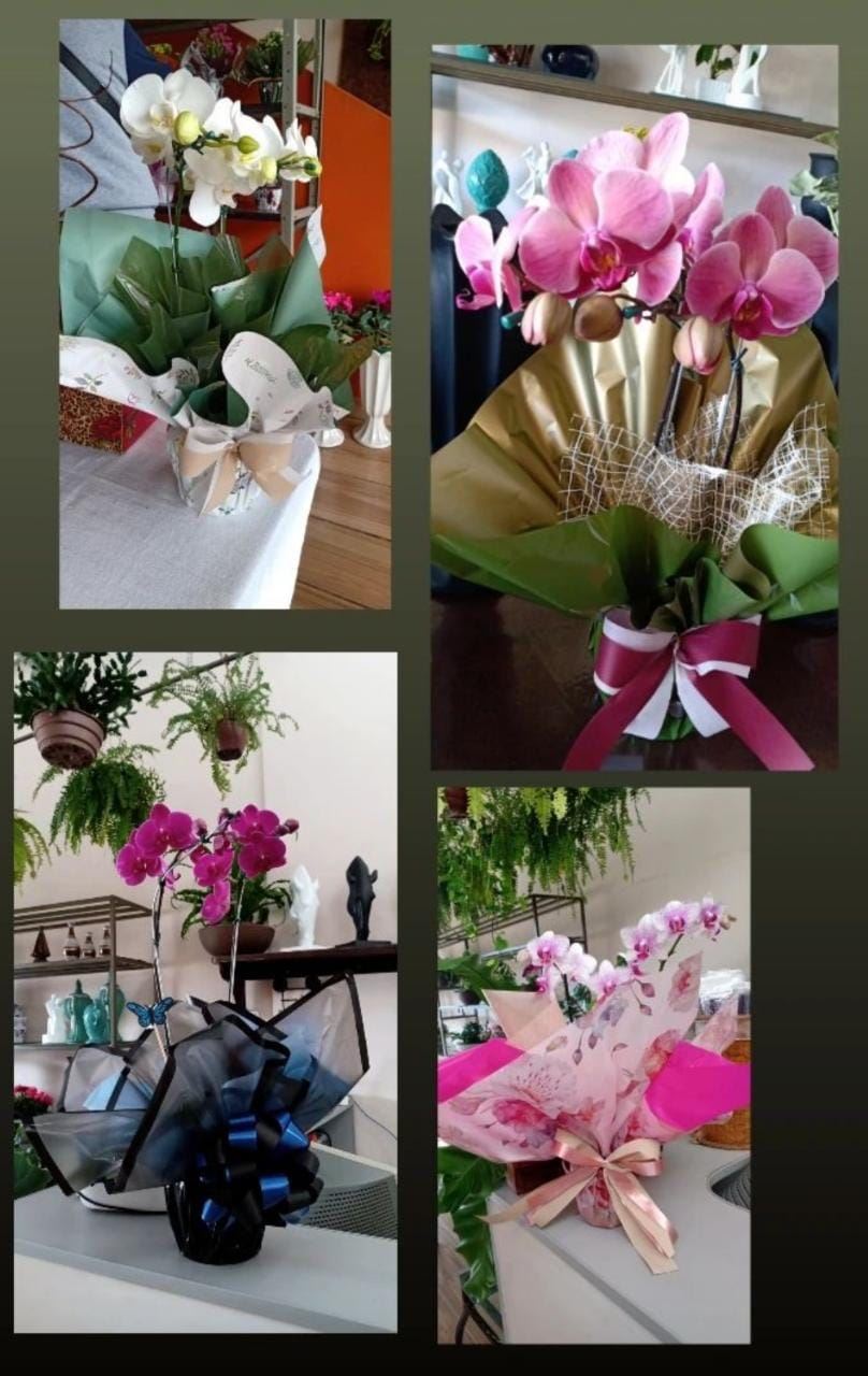 Floricultura e Presentes Santo Antonio