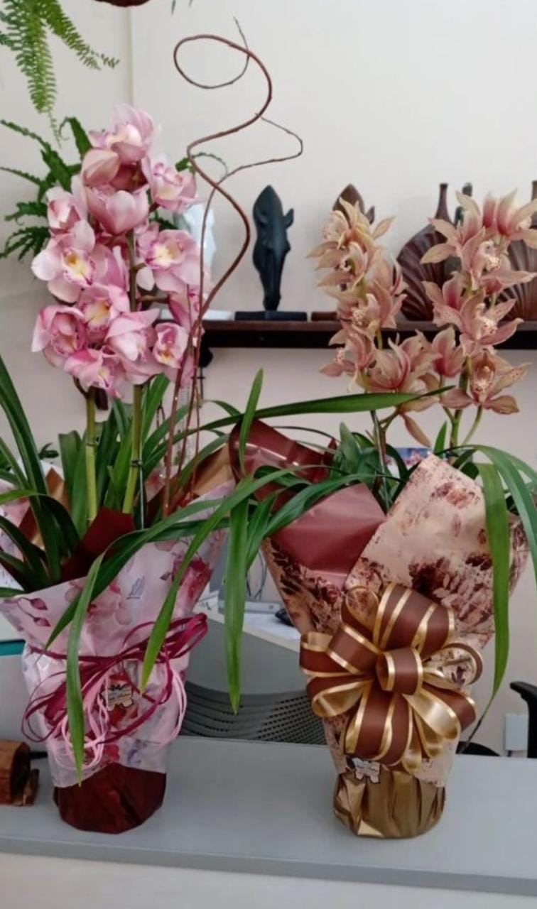 Floricultura e Presentes Santo Antonio