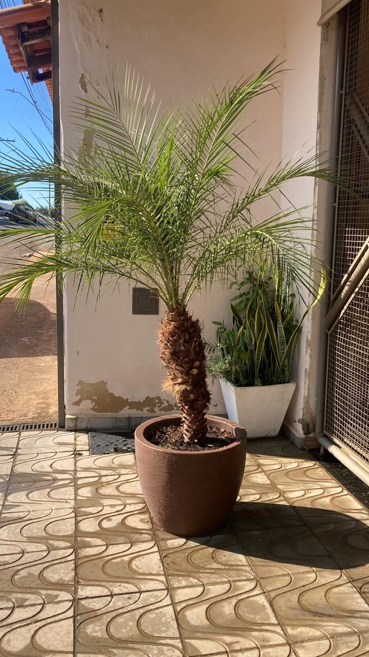 Floricultura e Presentes Santo Antonio