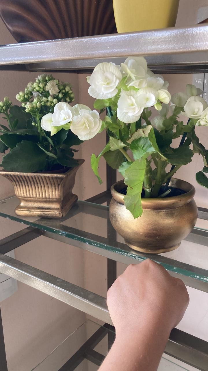 Floricultura e Presentes Santo Antonio