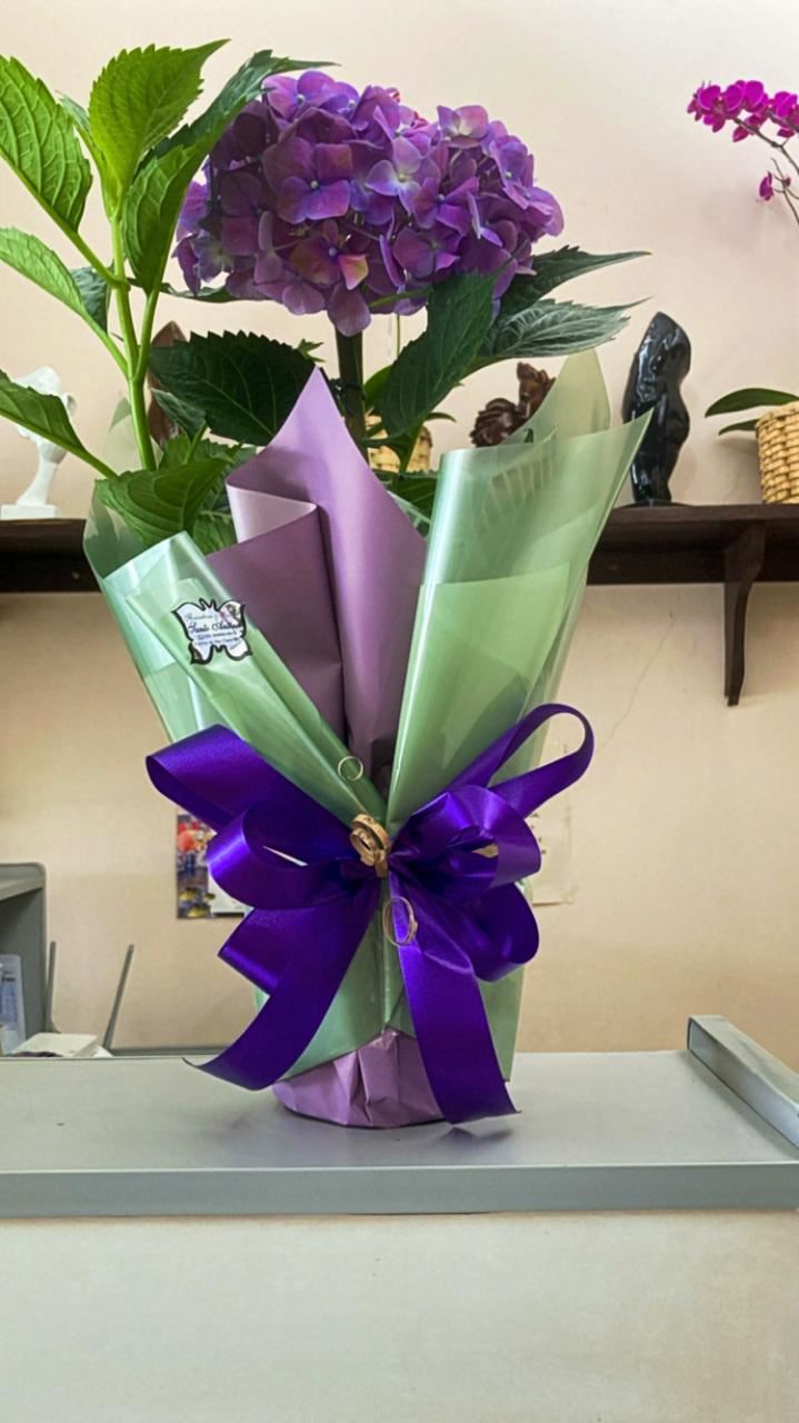 Floricultura e Presentes Santo Antonio