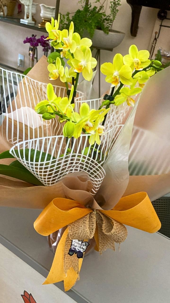 Floricultura e Presentes Santo Antonio