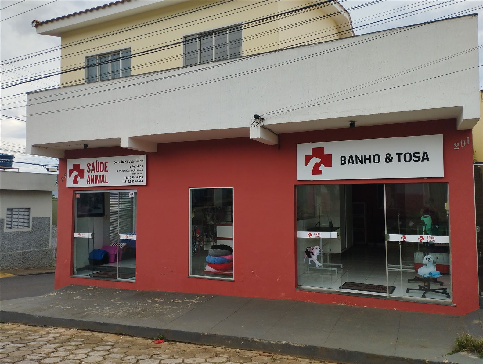 Saúde Animal