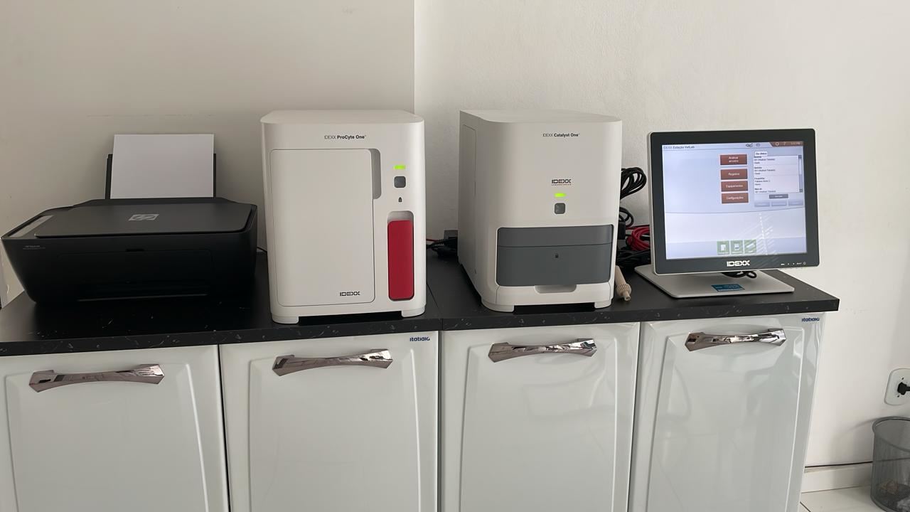 Exame Bioquímico e Hemograma