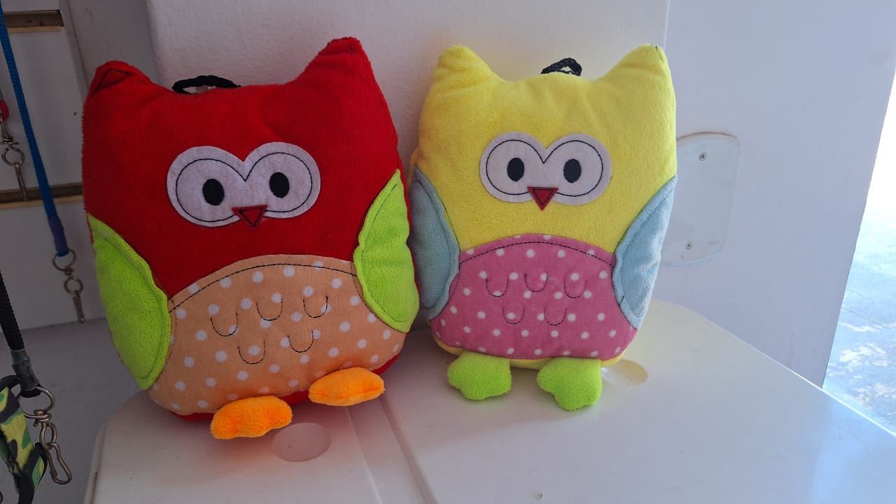 Brinquedos a partir de 10 reais
