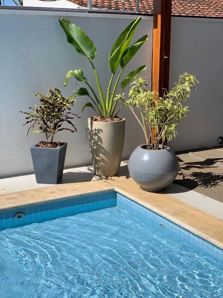 Além das plantas temos também vários modelos de vasos para seu espaço.