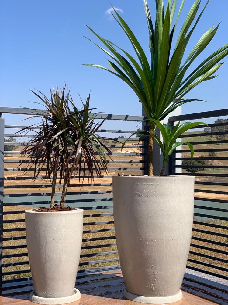 Vasos de polietileno 
Para todos os gostos 
Fazemos o plantio também é entregamos na sua casa .🌿