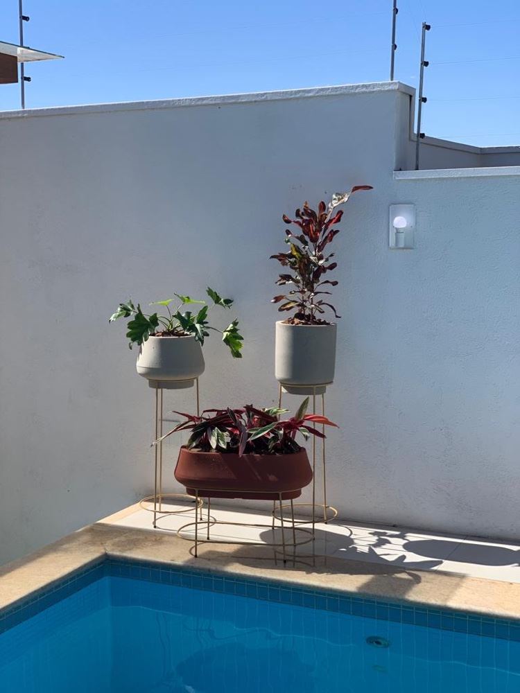 Temos várias opções , para todos os gostos e ambientes .
Lindos vasos e plantas 🪴 