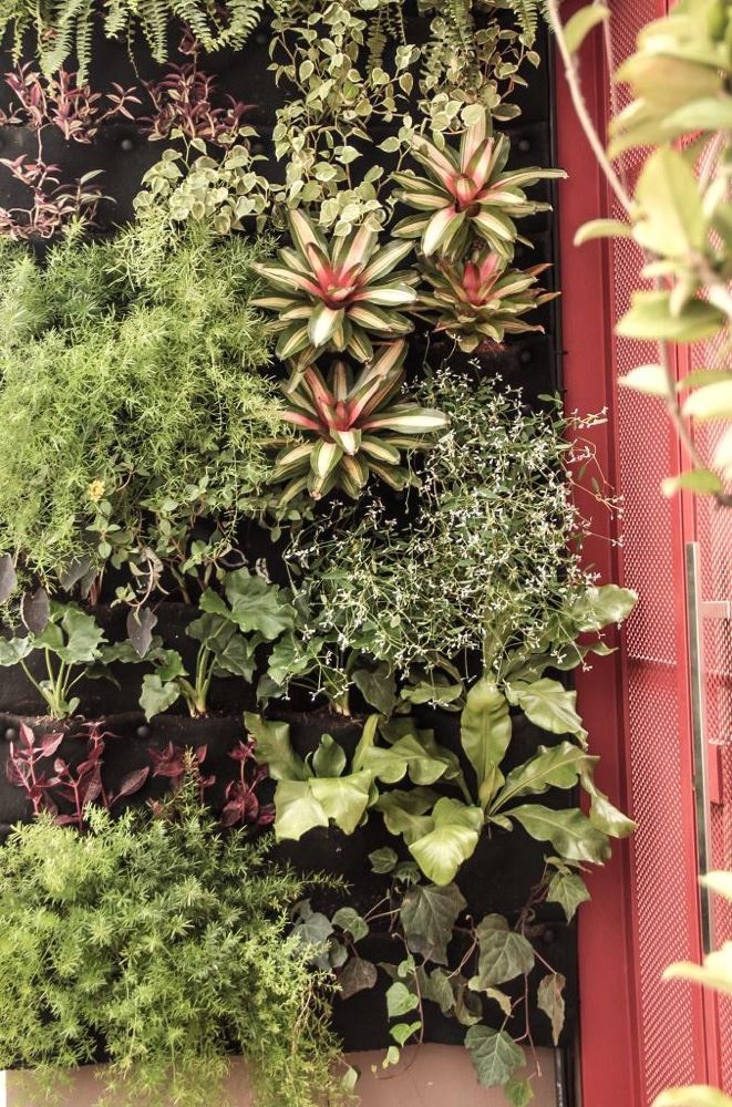 Montamos também jardim vertical 
Não deixe de conferir,fazemos o projeto ideal para o local desejado 🪴🌿