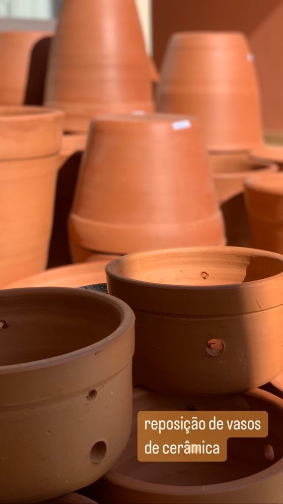 Reposição dos vasos de cerâmica 🪴