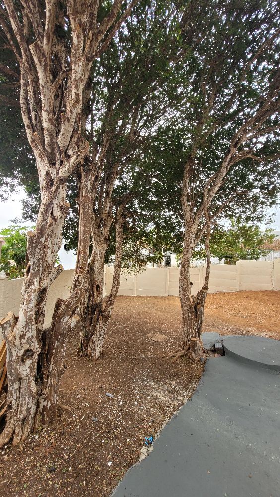 CASA A VENDA BAIRRO:SÃO BENEDITO. OPORTUNIDADE E NEGÓCIO DE OCASIÃO.PARA VOCÊ QUER SAIR DO ALUGUEL C/ PREÇO QUE CABE NO SEU BOLSO!

☆☆☆ EXCLUSIVIDADE ☆☆☆

☆☆☆ VALOR $ 280.MIL ☆☆☆

☆☆☆ VEM QUE TEM! ☆☆☆

☆☆☆ ÁREA DE ALTA VALORIZAÇÃO ☆☆☆

☆Terreno 380 M²
☆ Área Construída 170 M²
☆ Portão Entrada Independente 
  P/ Edicula 
☆ Garagem Ampla
☆ Sala Ampla
☆ Corredor
☆ 3 Dormitórios 
☆ Banheiro Social 
☆ Sala De Jantar 
☆ Lavanderia Coberta 
☆ Área De Lazer 
☆ Cozinha Separada Ampla 
☆ 2 Dispensa 

☆☆☆ EDICULA ☆☆☆

☆ 1 Dormitório 
☆  Cozinha Ampla 
☆ Banheiro Social 
☆ Dispensa Pode Tornar 1
  Dormitório 
☆ Lavanderia Externa
☆ 3 Pés Jaboticaba Produzindo 
☆ 100 M² Área Livre 

LAIRTON'S CORRETOR DE IMOVEIS CRECÍ-MG F.53931. CONTATE-NOS 35 99872 2266
https://www.instagram.com/reel/C8py07RpbxN/?igsh=YWdnMGs5MnJ6M2Ro
https://www.instagram.com/reel/C82_GhuuQ0m/?igsh=MWh3dXd4YTRzdmNpcA==