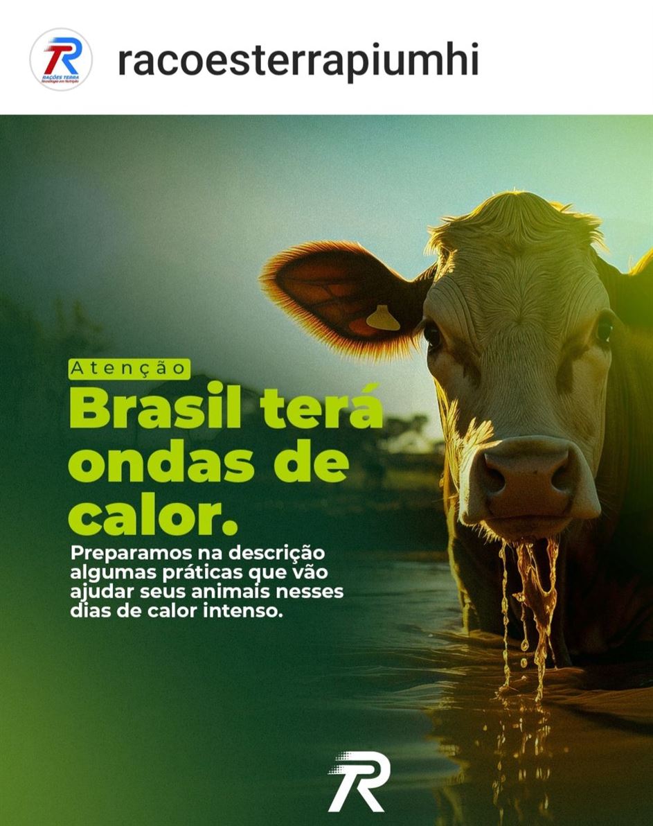 Rações Terra