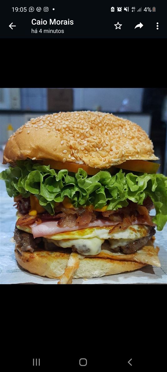 X-tudo ...

Pao , mussarela , ovo , presunto, Bacon,  creme de creddar, hambúrguer 150g , filé de frango grelhado ,alface e tomate 