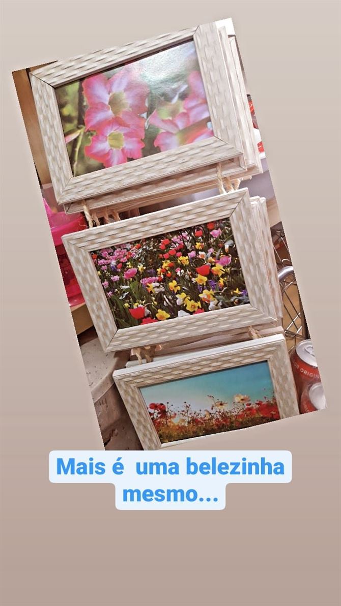 San Raphael Embalagens