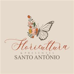 Floricultura e Presentes Santo Antonio - Floricultura