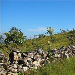 Muro dos Escravos - Ponto Histórico