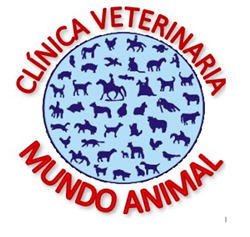 Medicina e Cirurgia Animal, Farmácia e Pet Shop - Atendimento Emergencial 24 Horas Via Celular